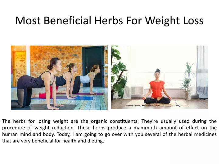 most beneficial herbs for weight loss