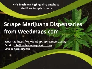 scrape marijuana dispensaries from weedmaps com