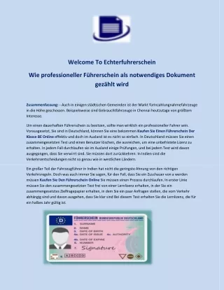Wie professioneller Führerschein als notwendiges Dokument gezählt wird