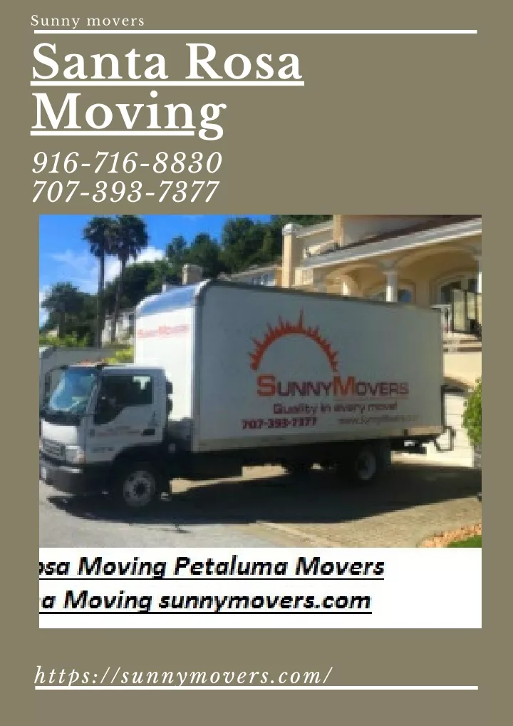 sunny movers