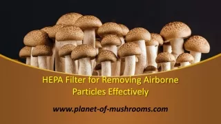 hepa filter for r emoving airborne particles effectively