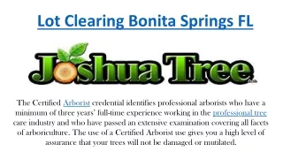 Lot Clearing Bonita Springs FL