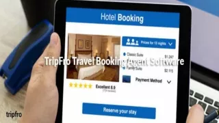 Travel Booking Agent - TripFro