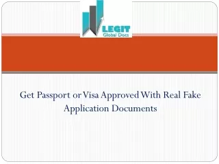 Get Passport or Visa Approved With Real Fake Application Documents