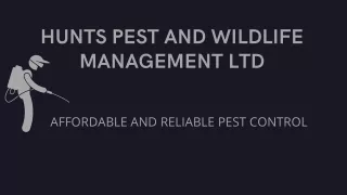 hunts pest and wildlife management ltd
