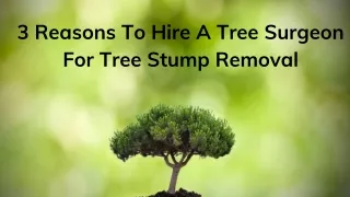 3 Reasons To Hire A Tree Surgeon For Tree Stump Removal |Beechwood Tree Services