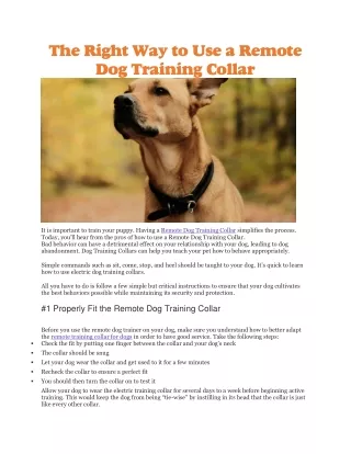 the right way to use a remote dog training collar