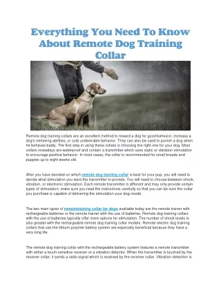 Remote dog training collar2