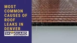 Most Common Causes of Roof Leaks in Denver