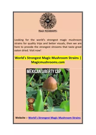 looking for the world s strongest magic mushroom