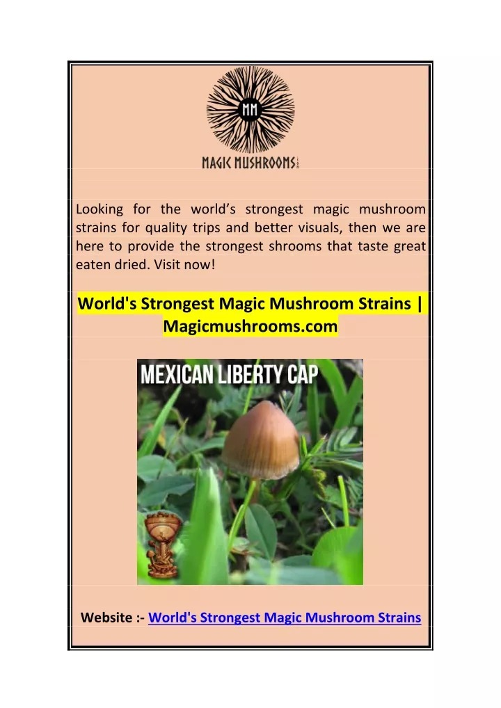 looking for the world s strongest magic mushroom