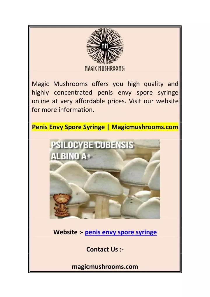 magic mushrooms offers you high quality
