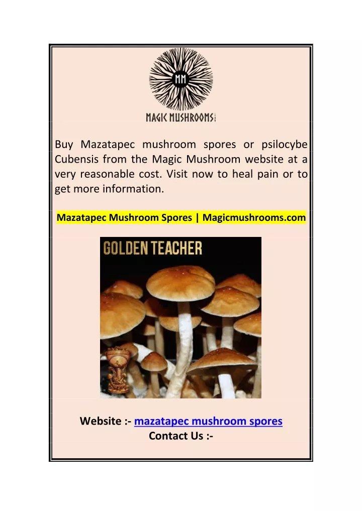 buy mazatapec mushroom spores or psilocybe