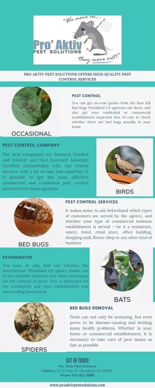 pro aktiv pest solutions offers high quality pest