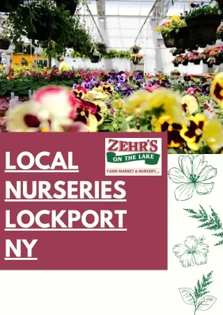 Local Nurseries Lockport NY-  Zehr