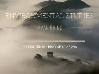 E.V.S ASSINGMENT JAVAN RHINO