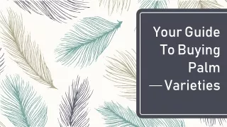 your guide to buying palm varieties