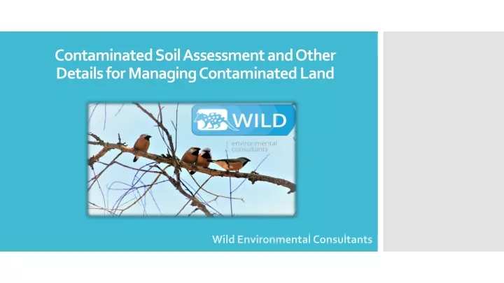 contaminated soil assessment and other details for managing contaminated land