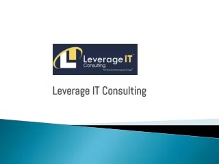 leverage it consulting