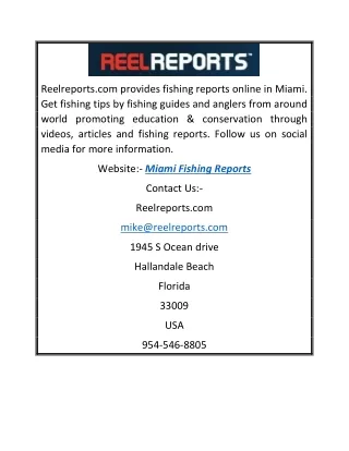 Online Miami Fishing Reports | ReelReports.com