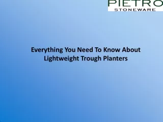 Everything You Need To Know About Lightweight Trough Planters-converted