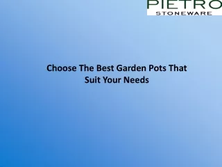Choose The Best Garden Pots That Suit Your Needs-converted
