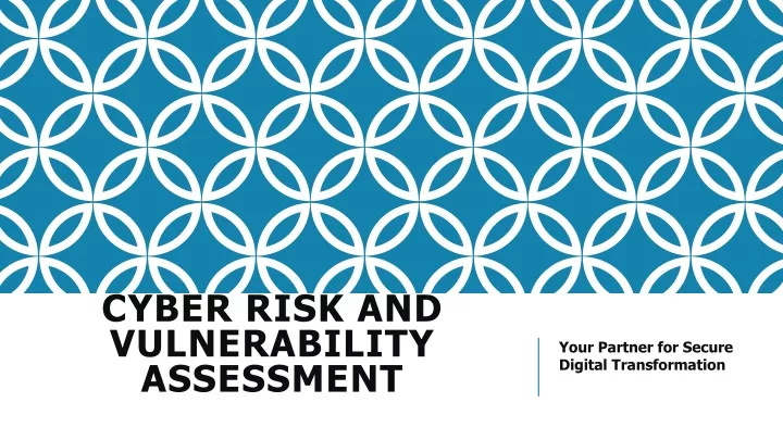 cyber risk and vulnerability assessment