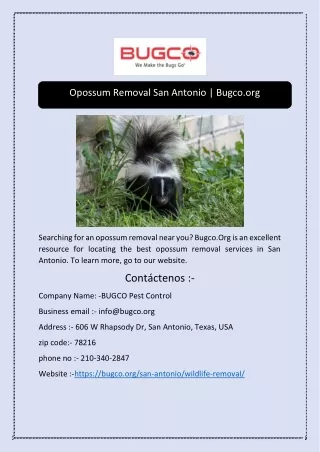 Opossum Removal San Antonio | Bugco.org