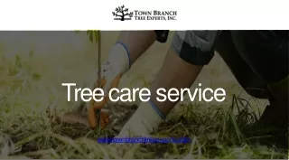 Affordable tree care service at Town Branch Tree Experts