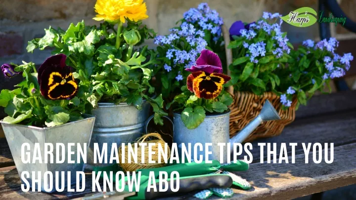 garden maintenance tips that you should know abo