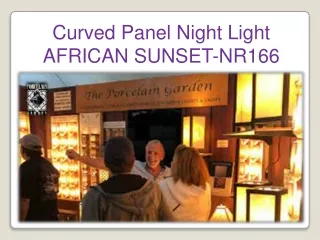 Curved Panel Night Light AFRICAN SUNSET-NR166
