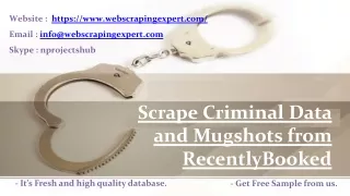 website https www webscrapingexpert com email