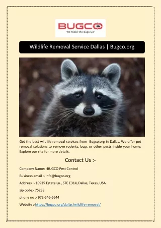 Wildlife Removal Service Dallas | Bugco.org