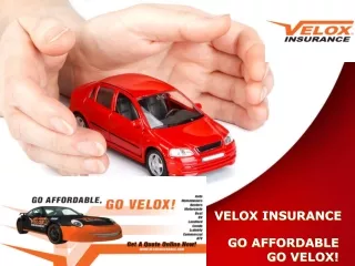Loya Car Insurance in Atlanta By Velox Insurance