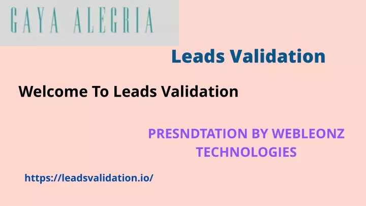 leads validation