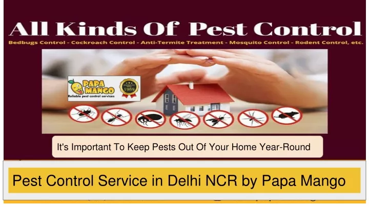 it s important to keep pests out of your home
