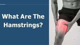 What Is Hamstrings?