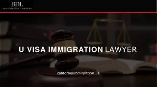 Best u visa immigration lawyer online at Brian D Lerner
