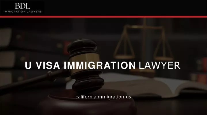 u visa immigration lawyer