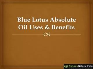 Blue Lotus Absolute Oil Uses & Benefits