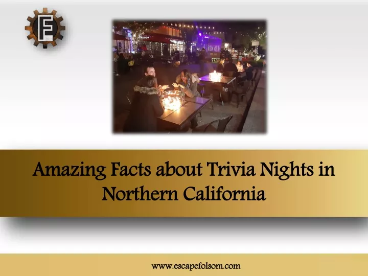 amazing facts about trivia nights in northern