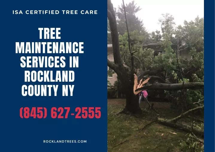 isa certified tree care
