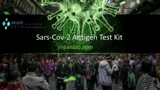 sars cov 2 antigen test kit