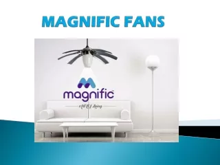 MAGNIFIC FANS