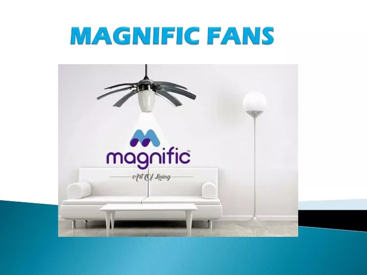 magnific fans