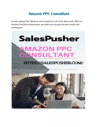 amazon ppc consultant