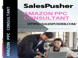 amazon ppc consultant