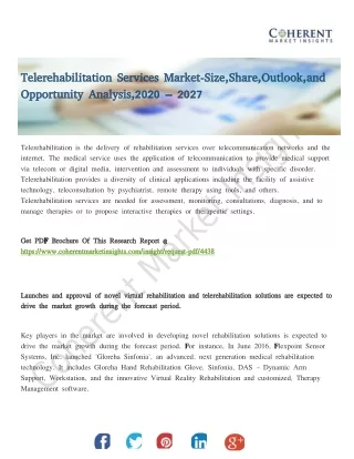 Telerehabilitation Services Market