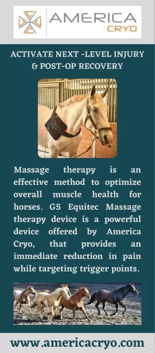 Massage Therapy