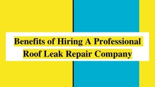 Roof Leak Repairs Geelong